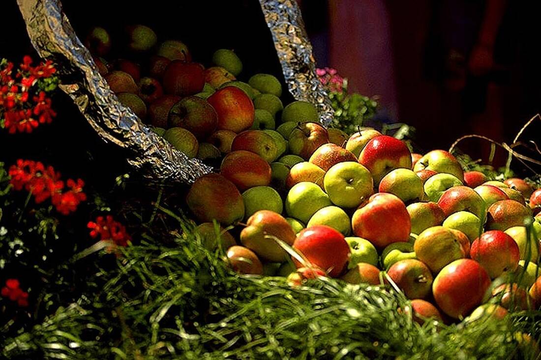 Apples from South Tyrol
