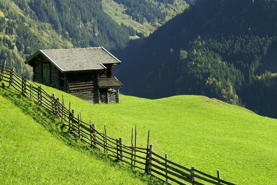 Mountain Meadow in Zillertal