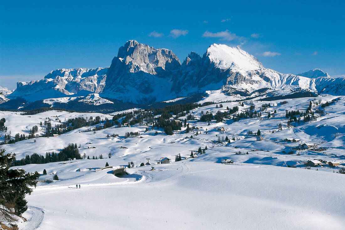 Dolomites: The Alpe di Siusi (2000m) with the Langkofel group
