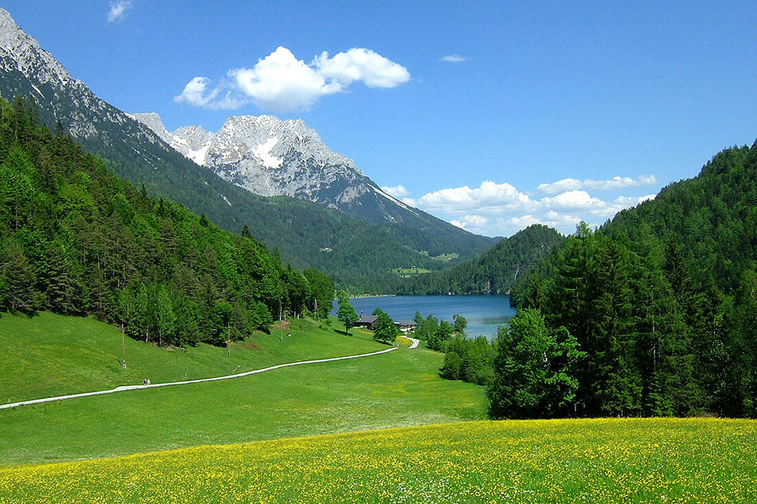 Green meadow in front of Hintersteinersee