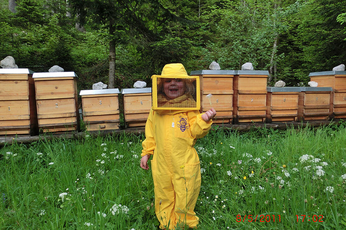 Young beekeeper Sabrina Christen during honey harvesting in the nature reserve Wilder Kaiser