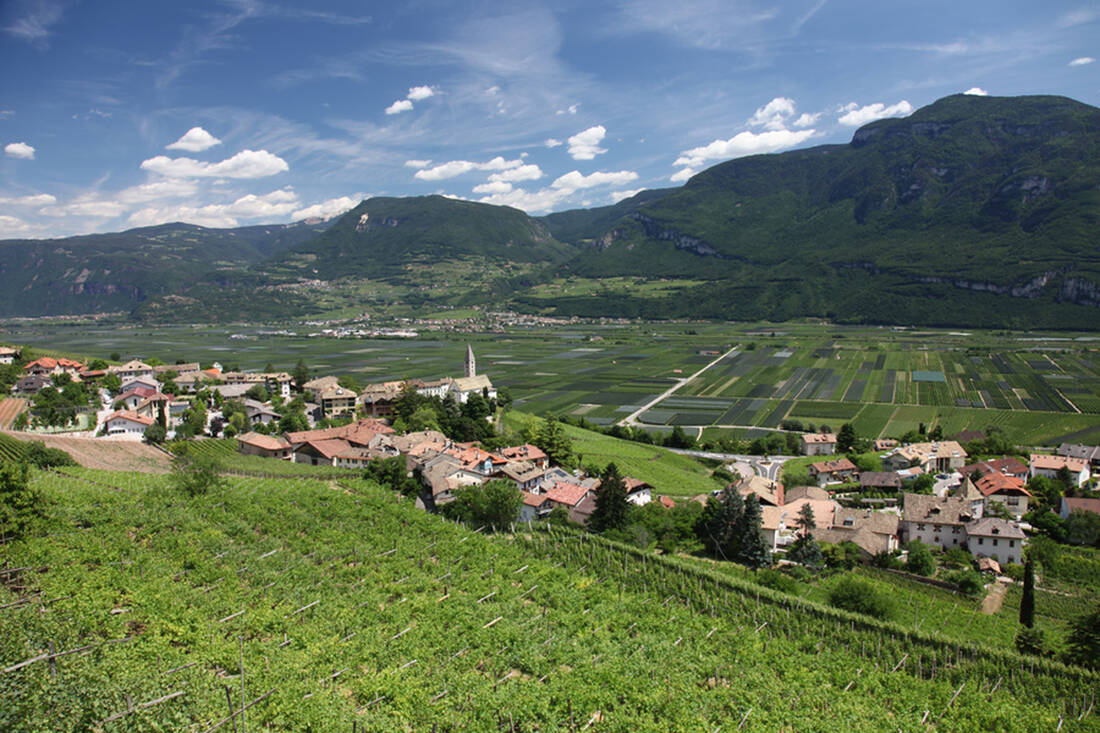 Cortaccia with vineyards