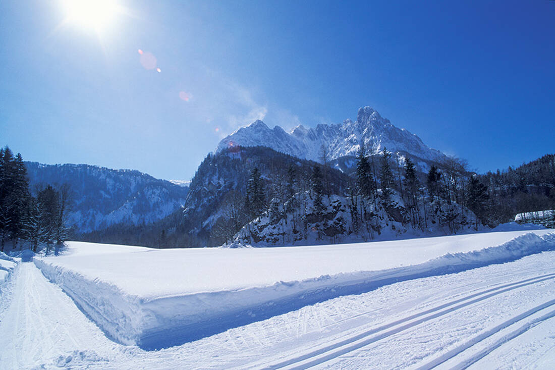 Cross-country ski trails in the region