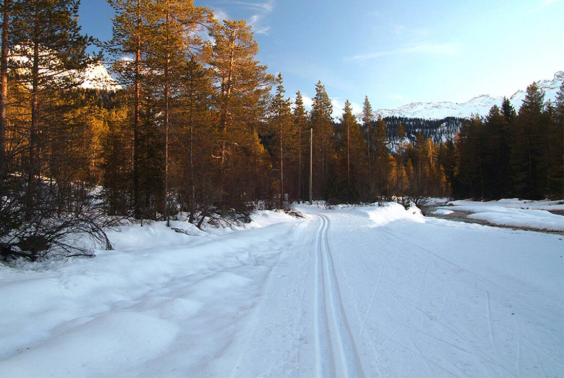Cross-country ski track in the Alta Badia region