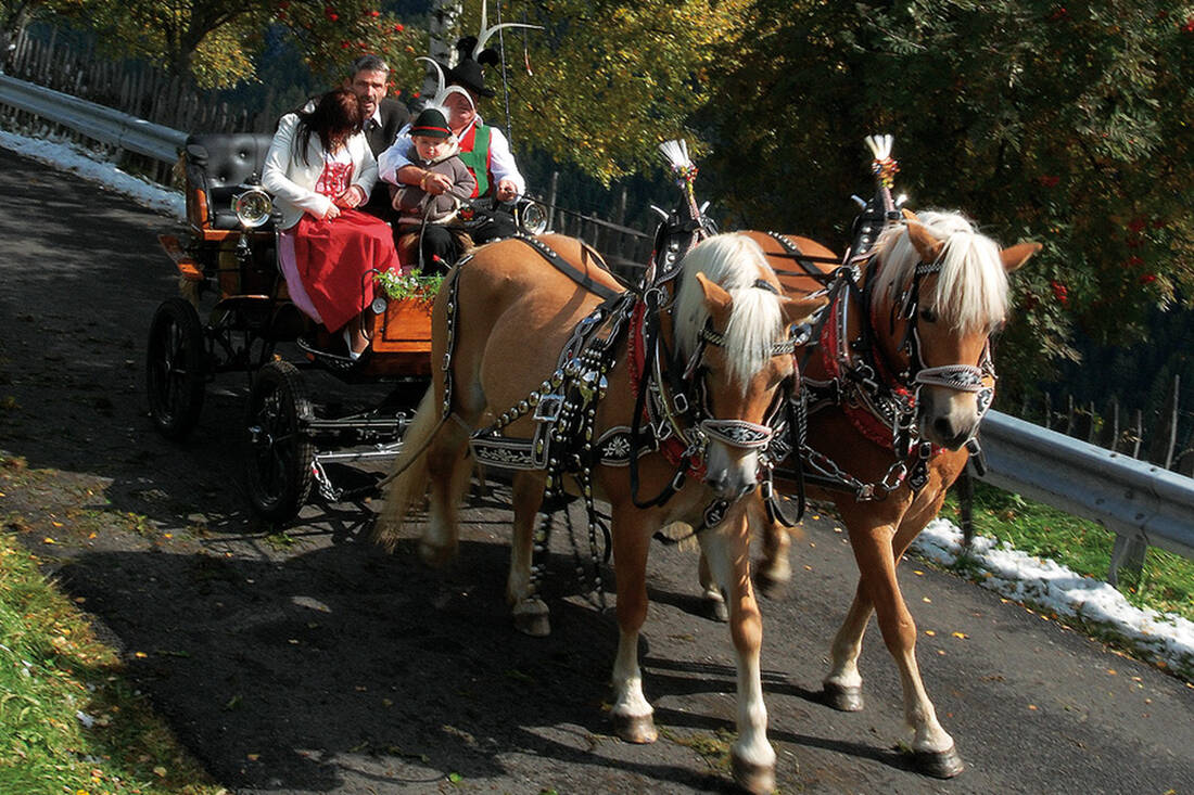 Horse-drawn Carriage