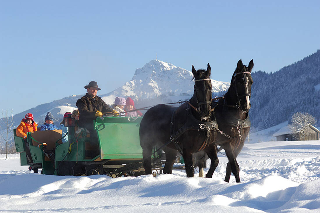 Horse-Drawn Carriage Ride in Winter
