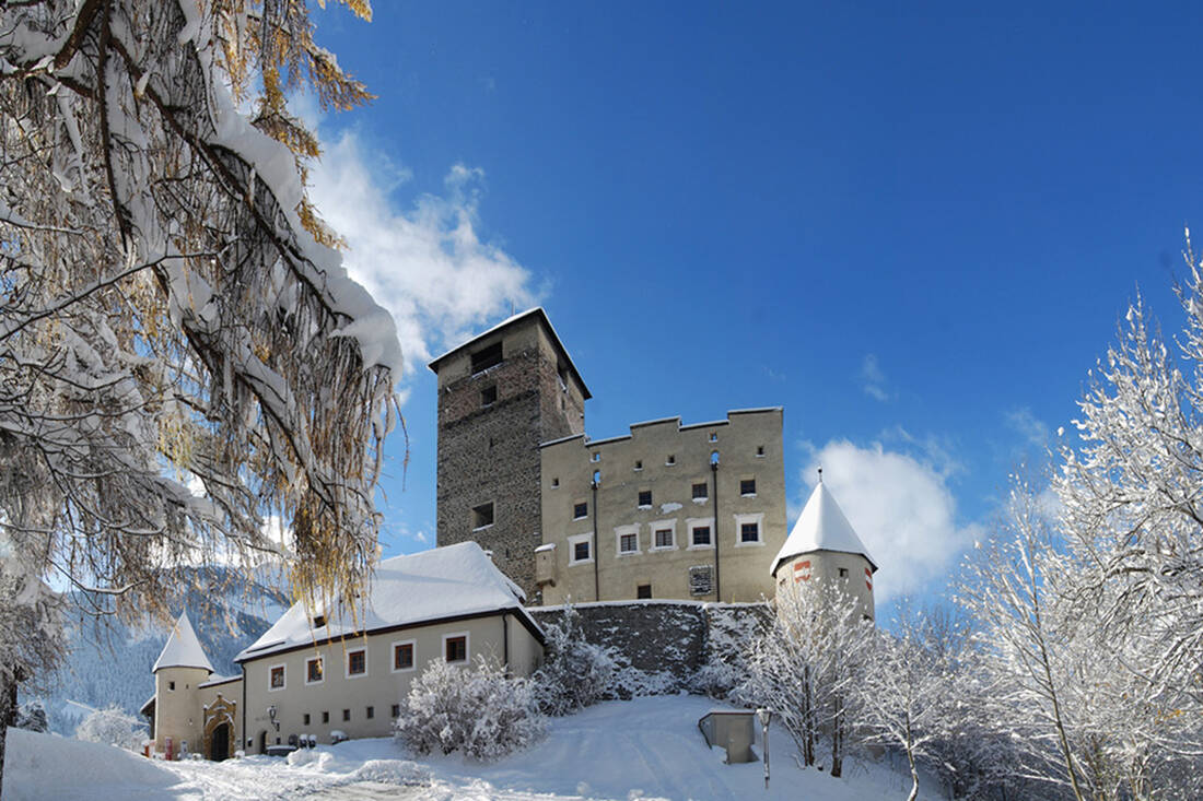 Castle in winter