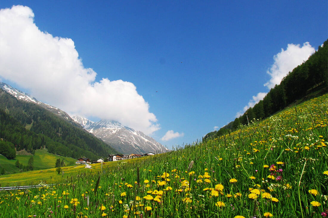 South Tyrolean Schlinig Valley