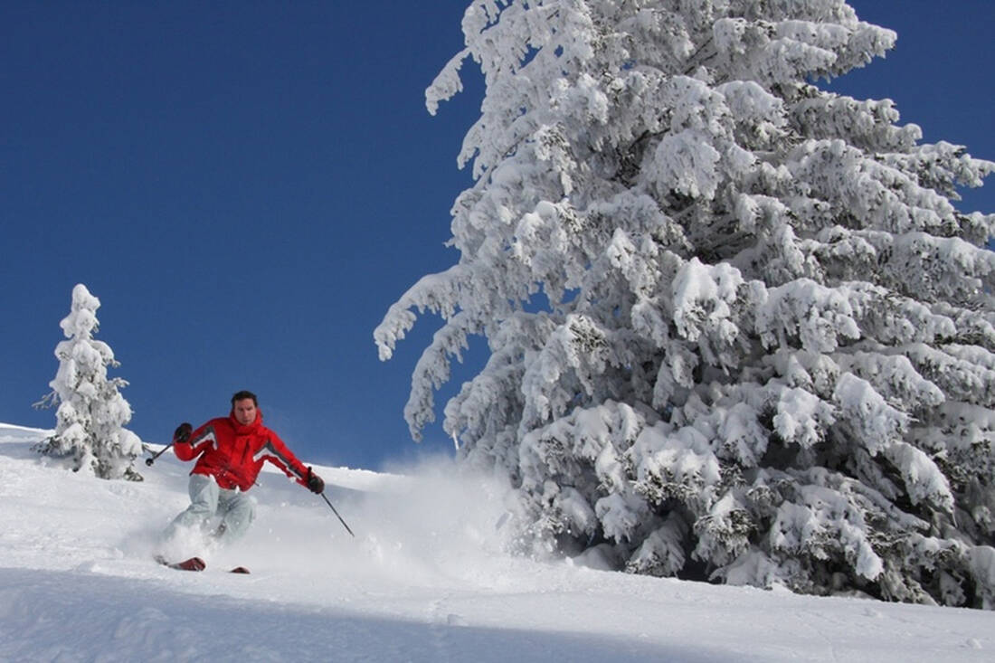 Powder Snow Skier