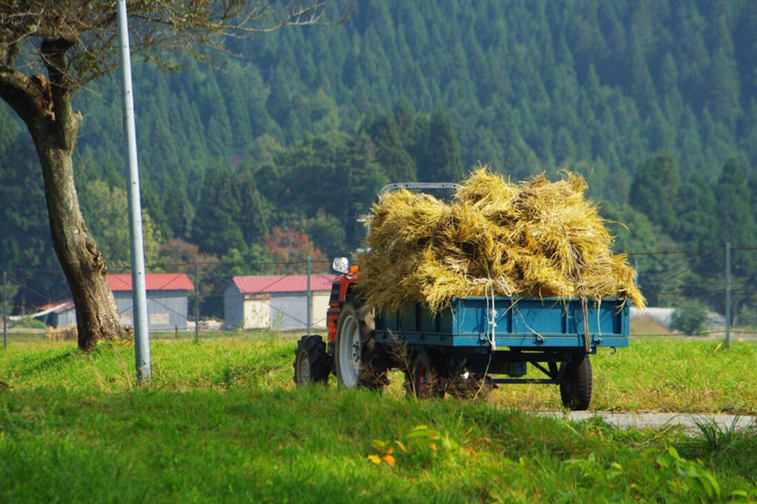 Tractor with hay