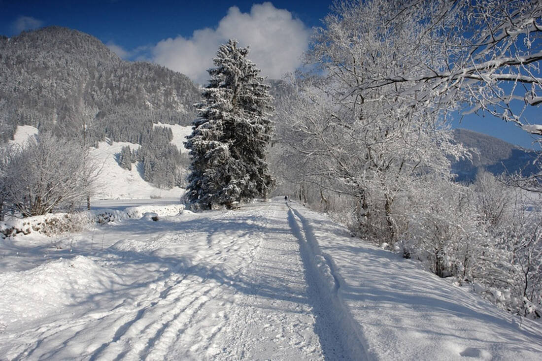 Winter hiking in the Olympic region Seefeld