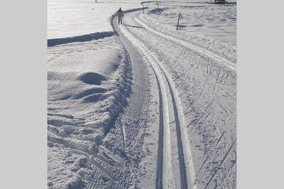 Cross-country ski tracks