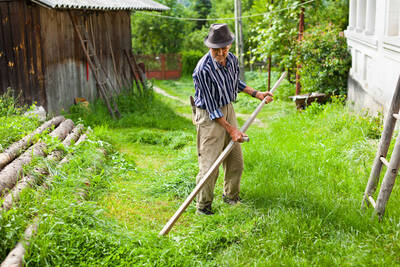 Mowing with the scythe