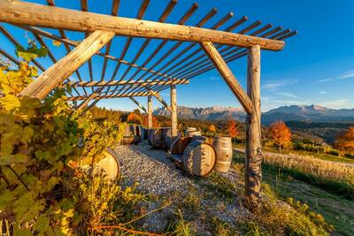 Wine and hiking in South Tyrol Geyrerhof