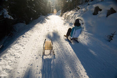 Fun on the sled in Tyrol